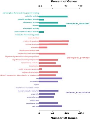 Complete Genome Insights into Lactococcus petauri CF11 Isolated from a Healthy Human Gut Using Second- and Third-Generation Sequencing